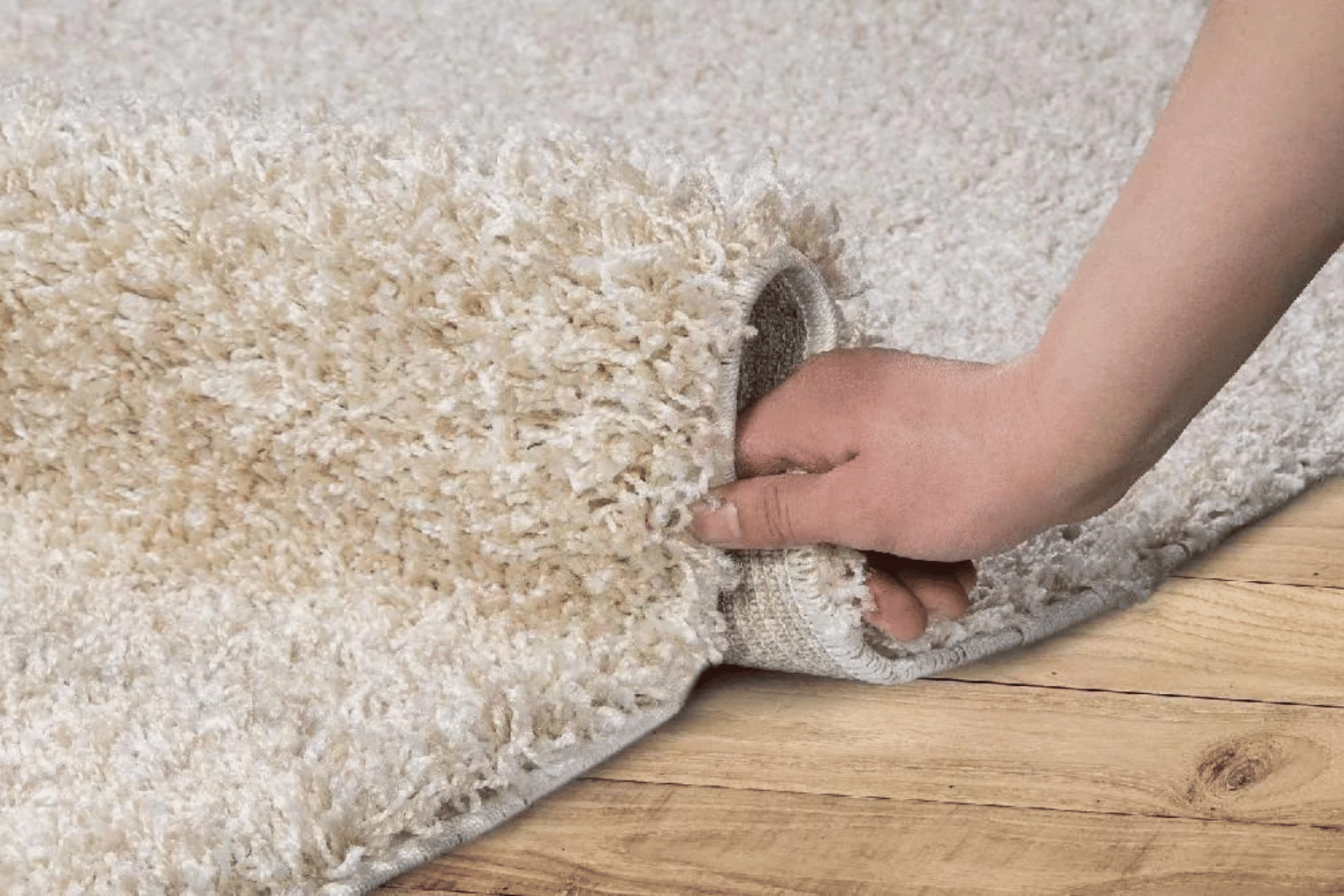 Floor Carpet price