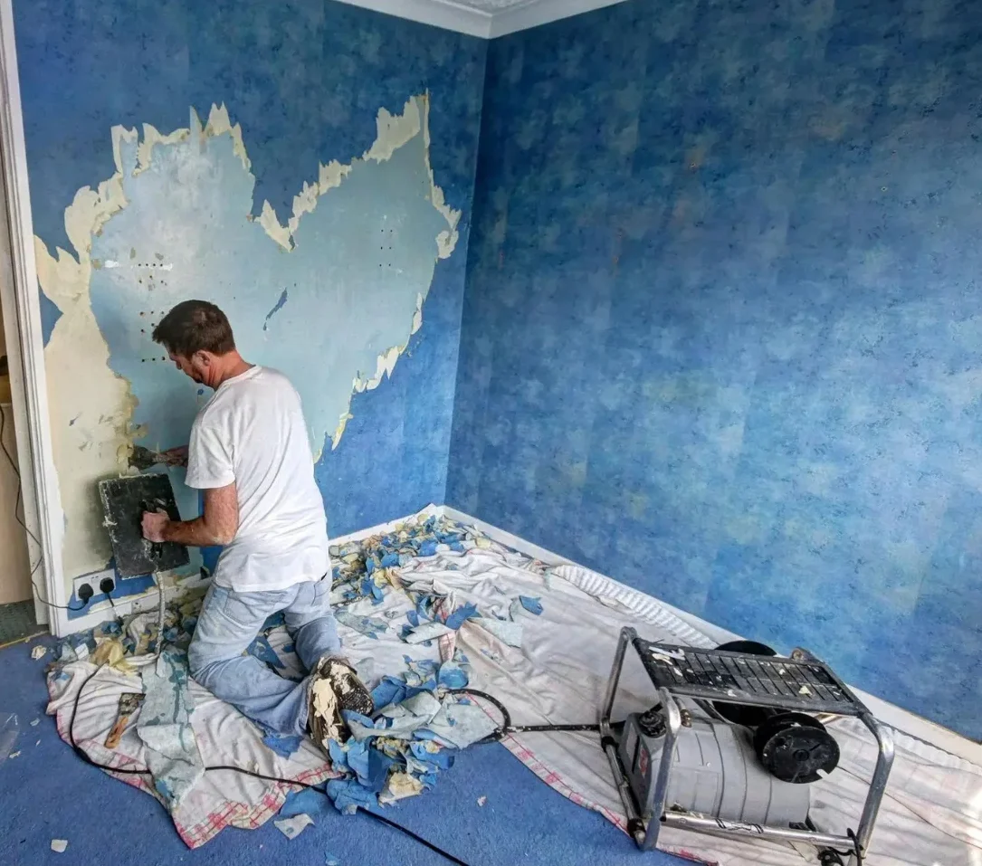 diy wallpaper remover Dubai