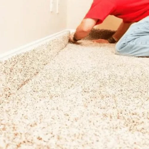 how much does carpet installation cost