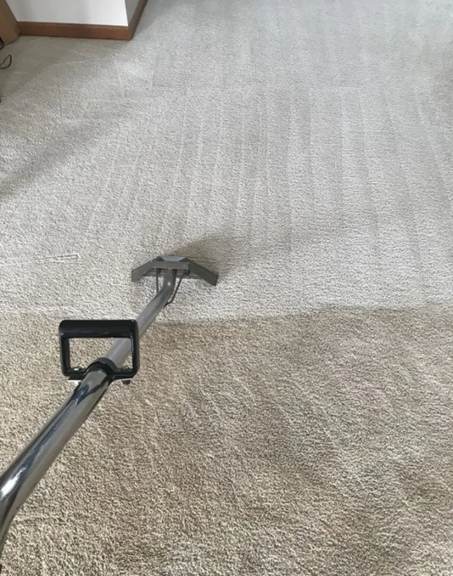 carpet cleaning maidstone in UAE