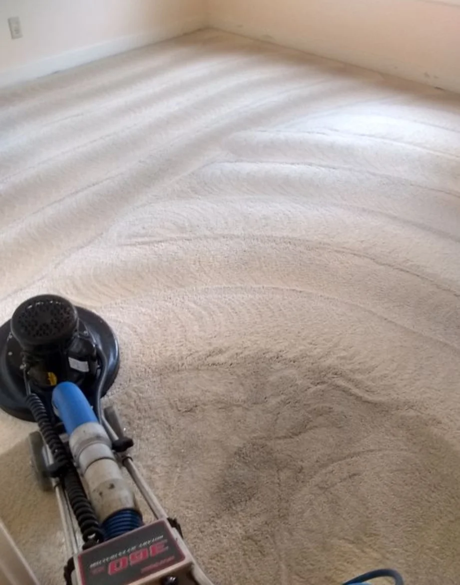 carpet cleaning se16 in Abu Dhabi