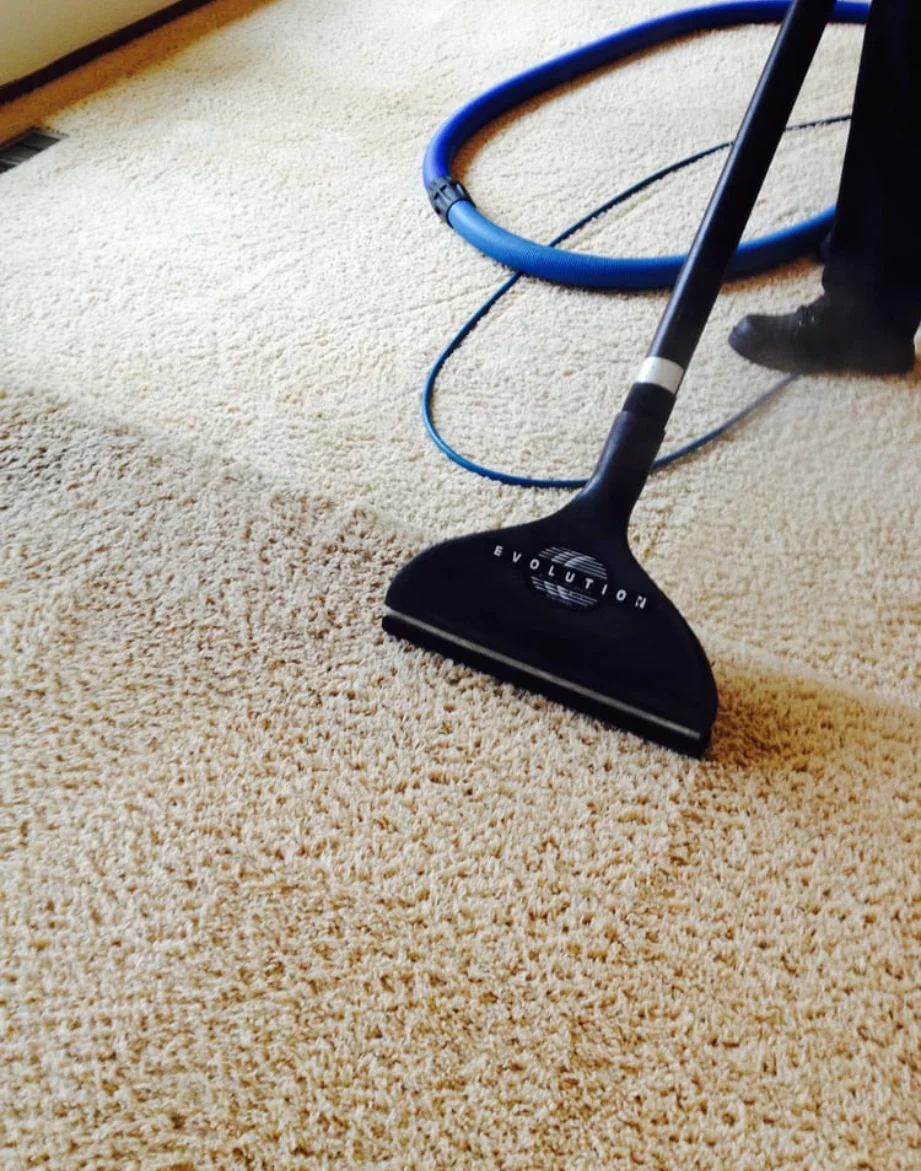 professional carpet cleaning blood in UAE